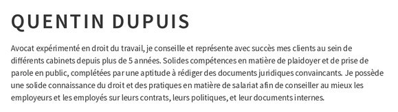 exemple de cv de profil personnel