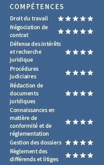 exemple de cv de compétences