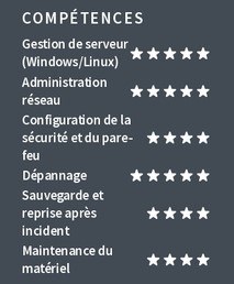 exemple de cv de compétences